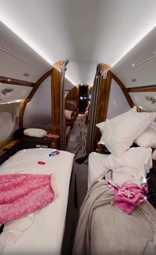 Hiltons interior private jet